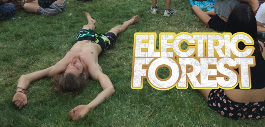 Electric Forest 2015: The Forest Photo Gallery