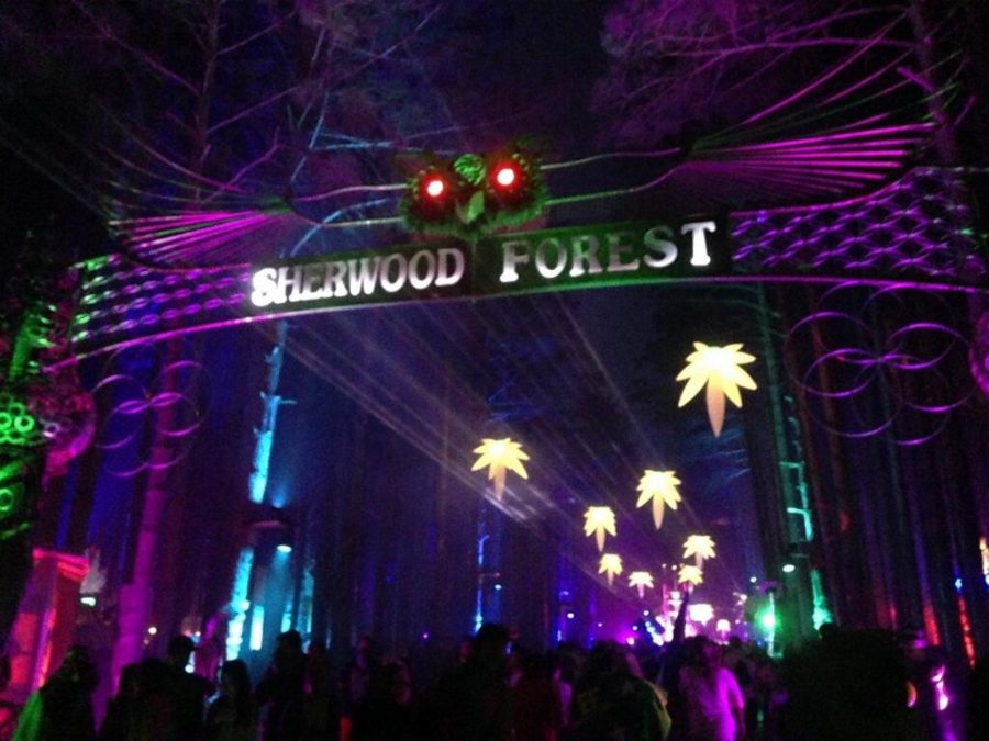 Pure+Imagination%3A+Electric+Forest+2015