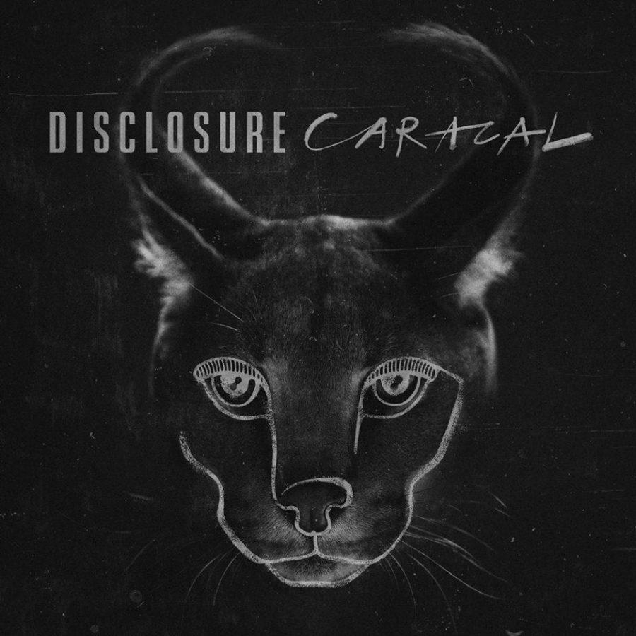 Caracal+%7C+Disclosure
