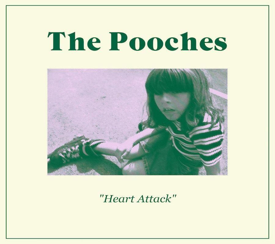 Heart Attack | The Pooches