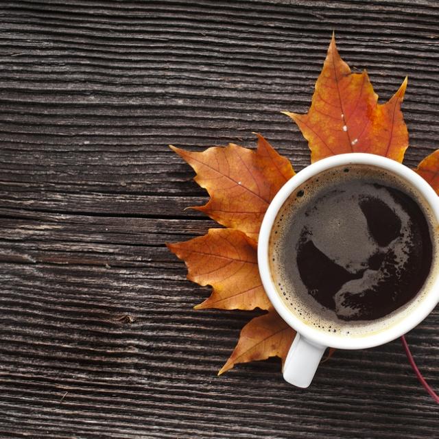 The Weekly List: Fall Mornings