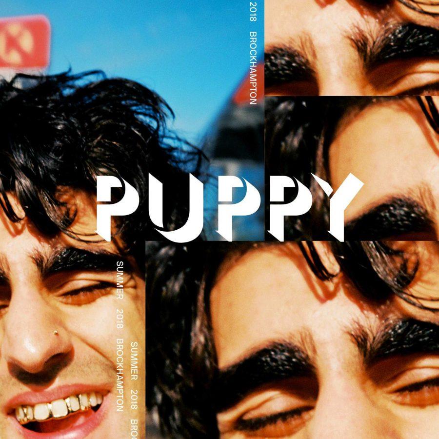 Team Effort to Puppy — Whats Next for BROCKHAMPTON?
