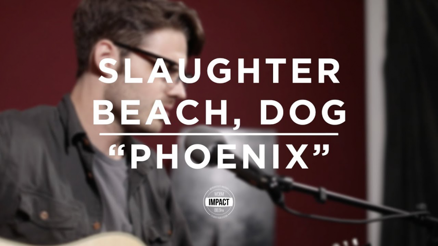 Slaughter Beach, Dog - Phoenix (Live @ WDBM)