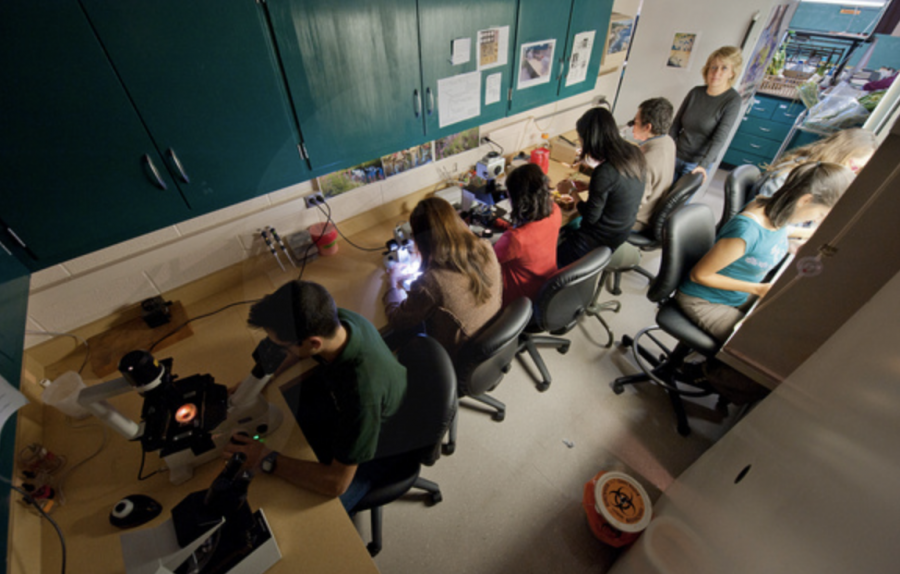 A group of MSU students study together in a lab/ Photo Credit: MSU Athletic Communications 