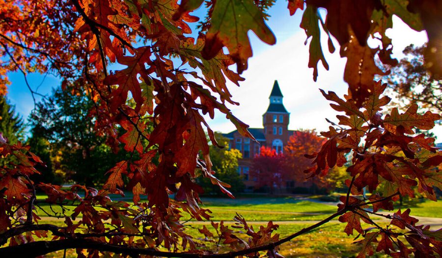 Michigan State campus in autumn/ Photo credit: MSU