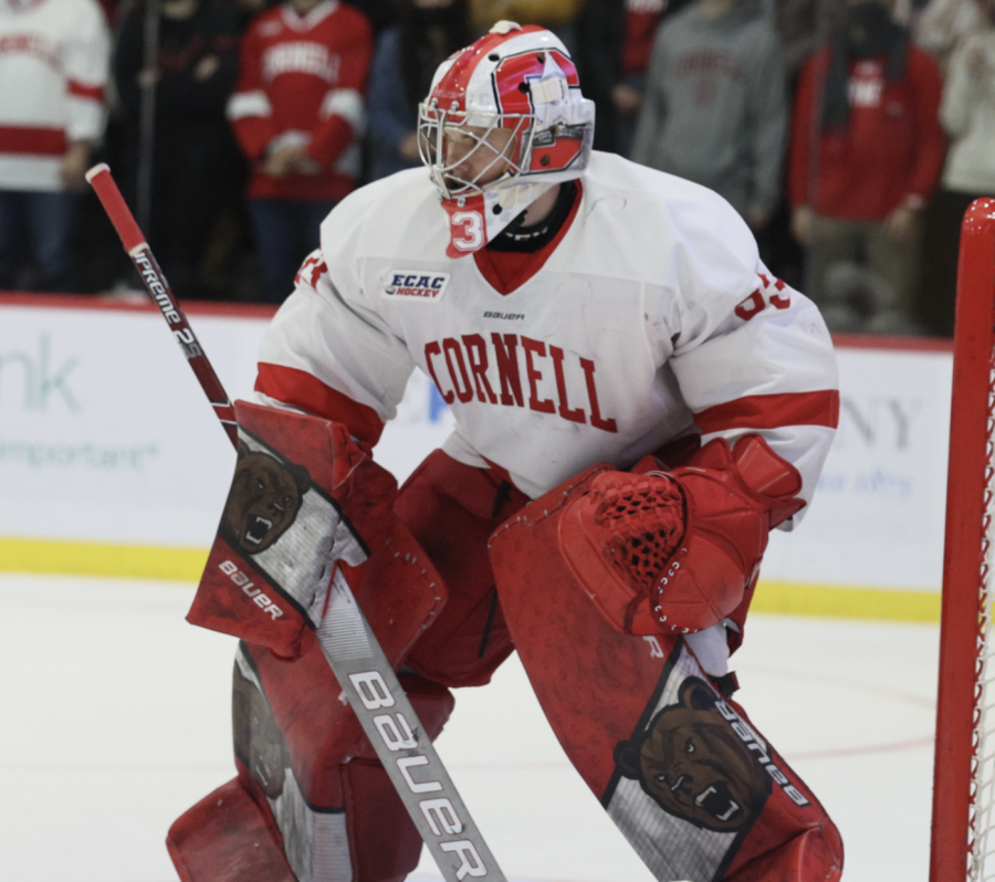 MSU transfer goaltender Nate McDonald during his time at Cornell/ Photo Credit: Cornell Athletic Communications