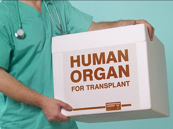 Understanding the organ donation process