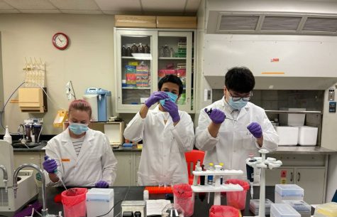 Brijen Miyani, Liang Zhao, and Maddie Spooner in lab