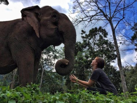 Kelsey Merreck Wagner with an elephant