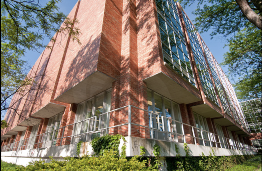 The MSU main library on a sunny morning/ Photo Credit: MSU University Communications 