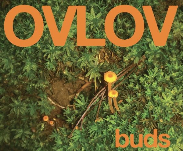 Album Review | Buds by Ovlov