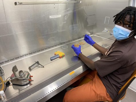 Alassane Sow by a biosafety cabinet