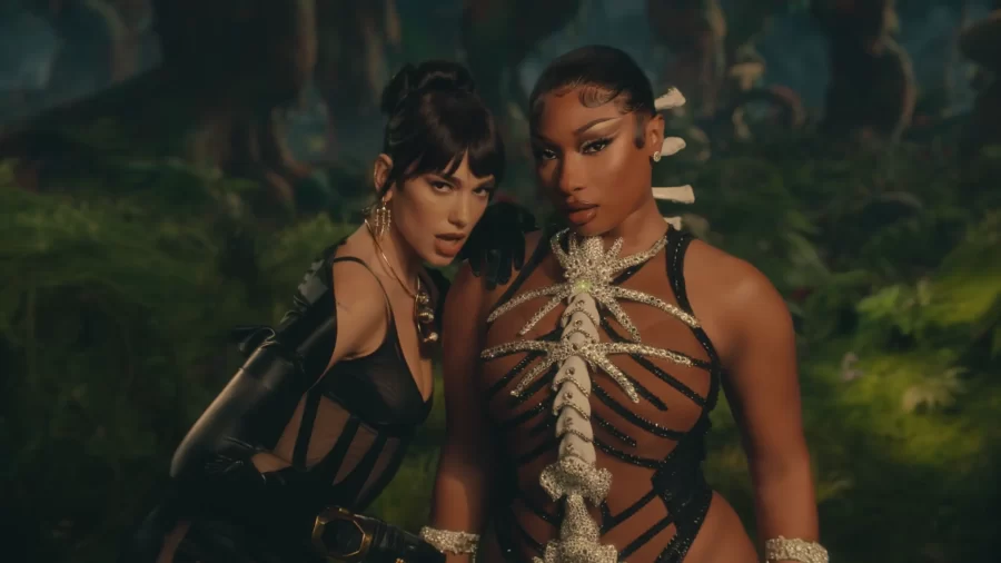 Screengrab+retrieved+from+Megan+Thee+Stallion+on+YouTube