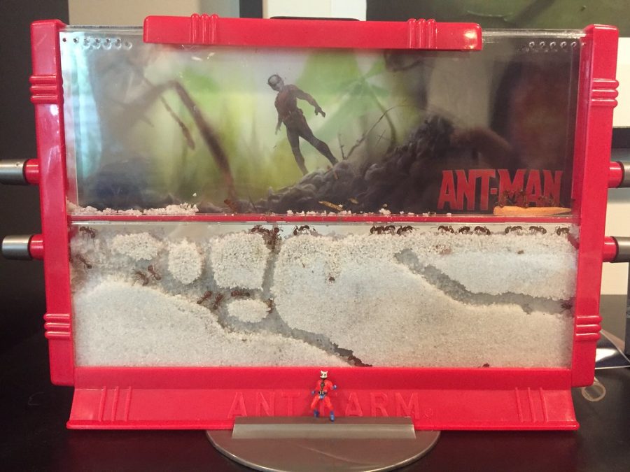 Ant Farm, Bitches! by AntMan3001 is licensed under CC BY-SA 2.0.
