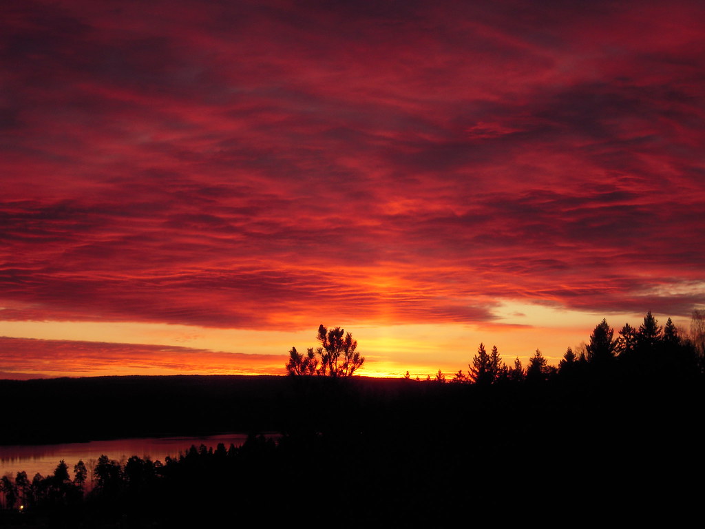 Sunrise by Gunnarmex is licensed under CC BY 2.0.