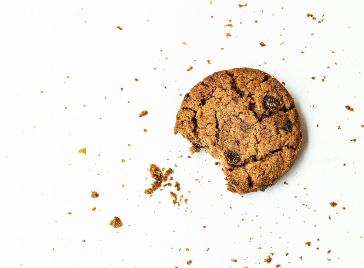 Minimal Cookie Shot by Vyshnavi Bison is licensed under the Unsplash License (CC-0)