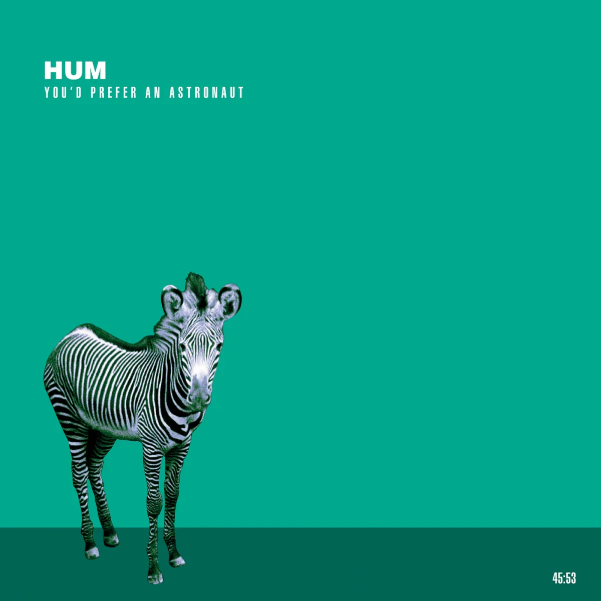 Rose-Tinted Perspective | &#8220;Why I Like The Robins&#8221; by Hum