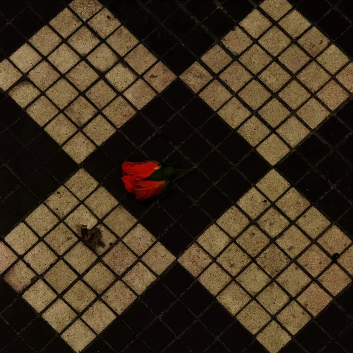 Love is Not in the Air | “In the Dark” by Venturing